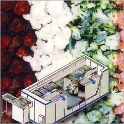 Freezing Of Fruits And Vegetables