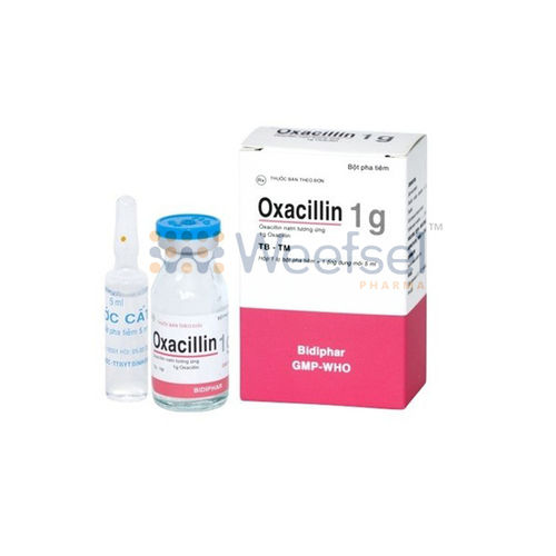 Oxacillin Injection