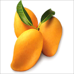 Fresh Kesar Mangoes