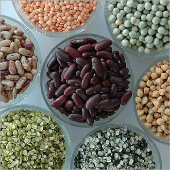 Gram Pulses