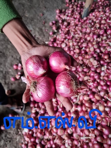 प्राकृतिक लाल प्याज