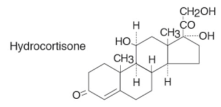 Hydrocortisone Sodium Succinate - C21H30O5, 362.46 g/mol | White Powder for Inflammation Relief, Allergic Reactions, Autoimmune Diseases, and Cancer Treatment