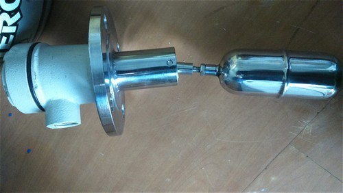 Side Mounted Level Sensor - Input: 230