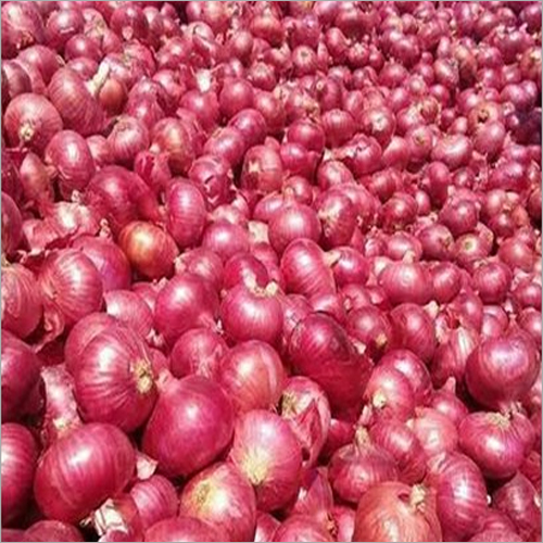 ताजा प्याज