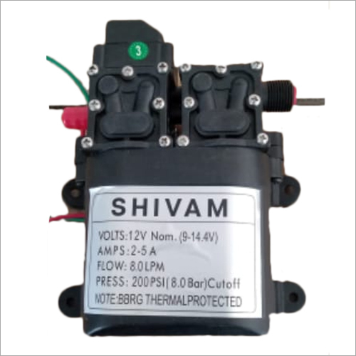 12 वी 200 पीएसआई डबल डीसी मोटर पंप
