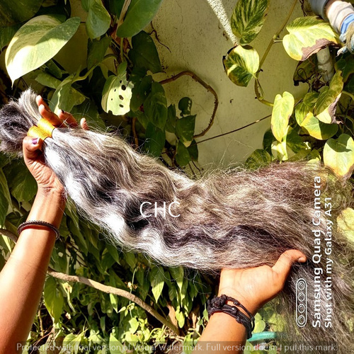 Natural Gray Grey Single Donor Indian Temples Unprocessed Human Hair Length: 8 - 40 Inch (In)