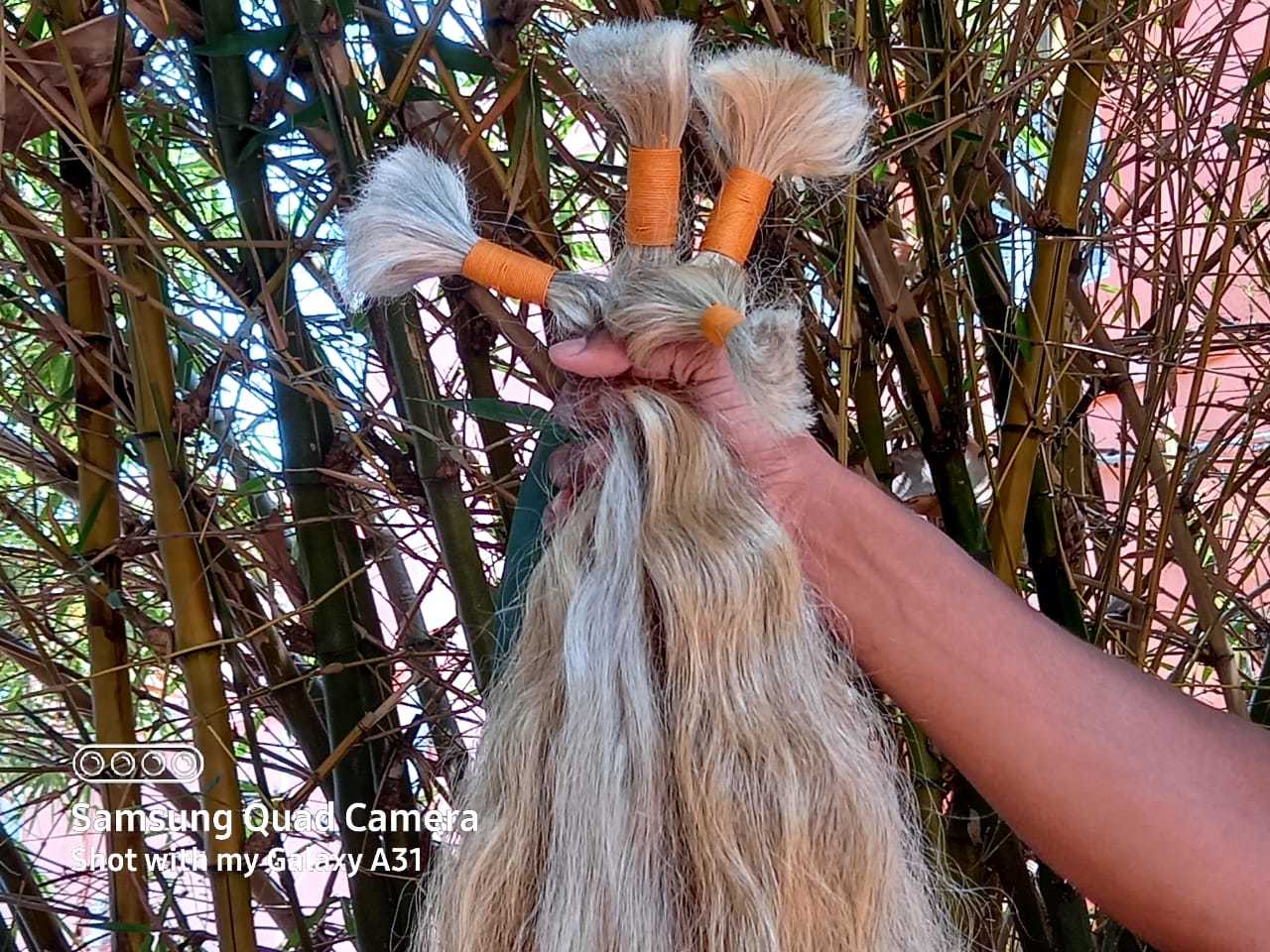 Natural Gray Grey Single Donor Indian Temples Unprocessed Human Hair Length: 8 - 40 Inch (In)