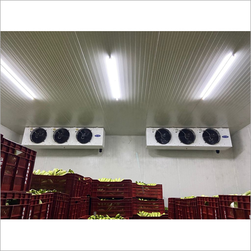 Fruit Ripening Chamber - Color: White