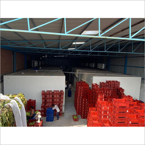 Fruit Ripening Chamber - Color: White