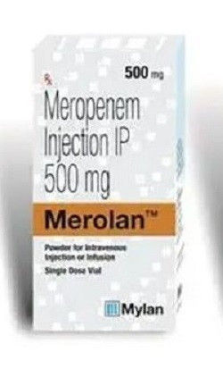 500 Mg Merolan Injection Recommended For: Anti Infective