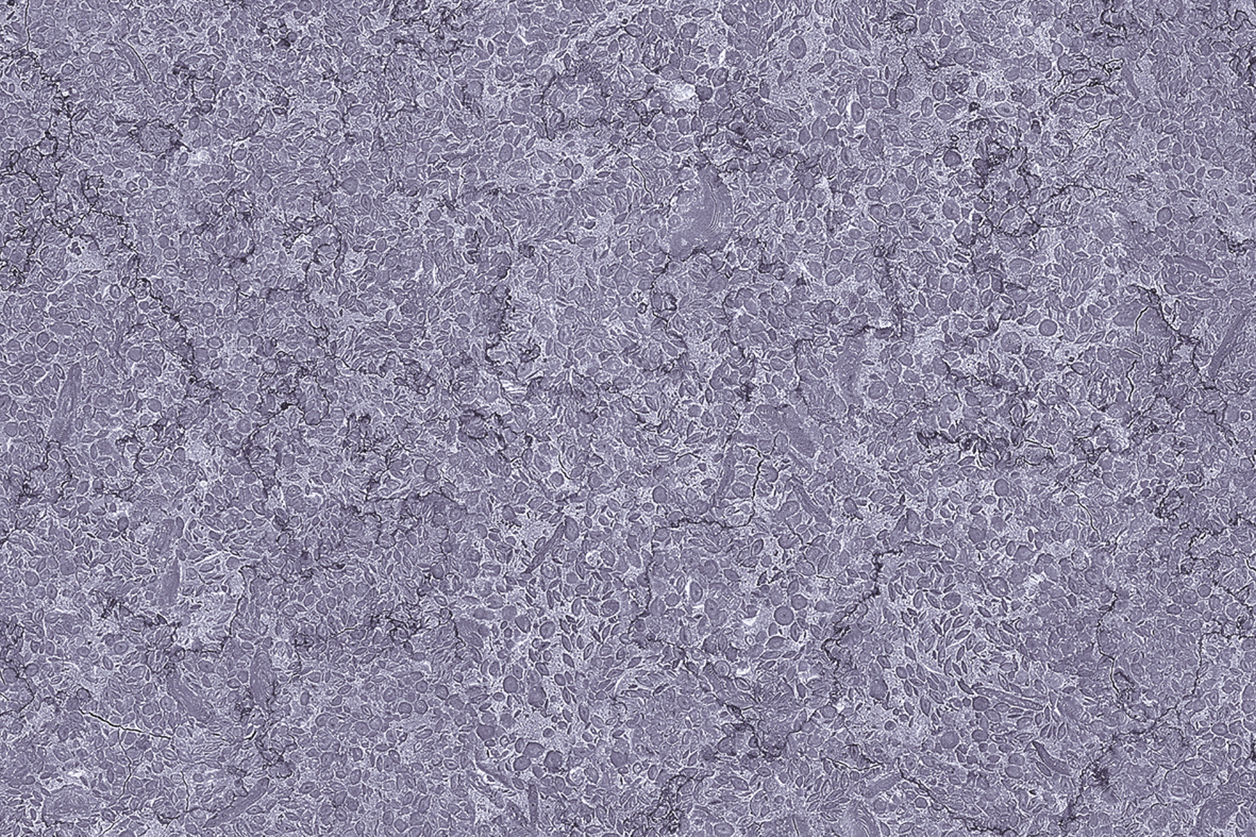 Beige 15178 Glossy Ceramic Wall Tiles 300x450mm