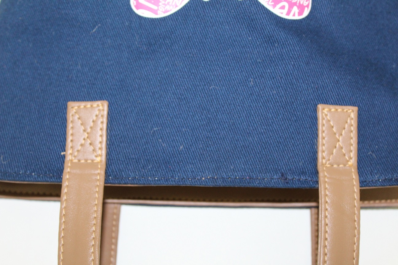 Dyed Canvas Ladies Bag Capacity: 2-5 Kgs Kg/day