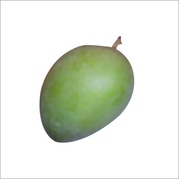 ताज़ा आम फल