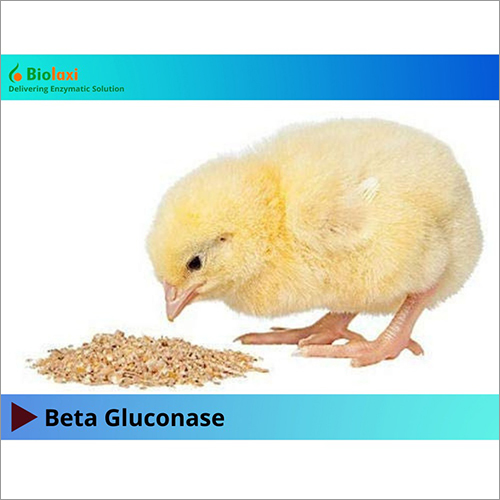 Bl Beta Glucanase Enzymes - Application: Food
