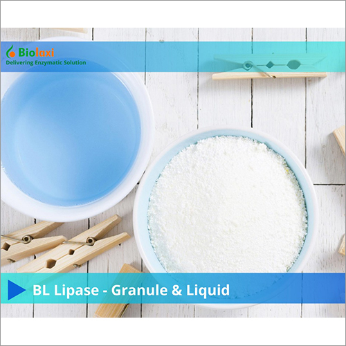 BL Lipase - Industrial Grade Granule and Liquid Enzyme | >99% Purity, Effective Fat Stain Decomposition, Room Temperature Storage