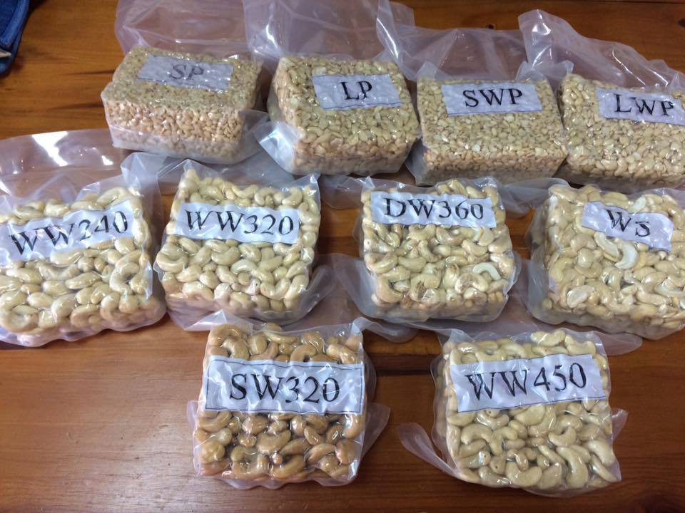 Cream White Grade Aa Cashew Nuts