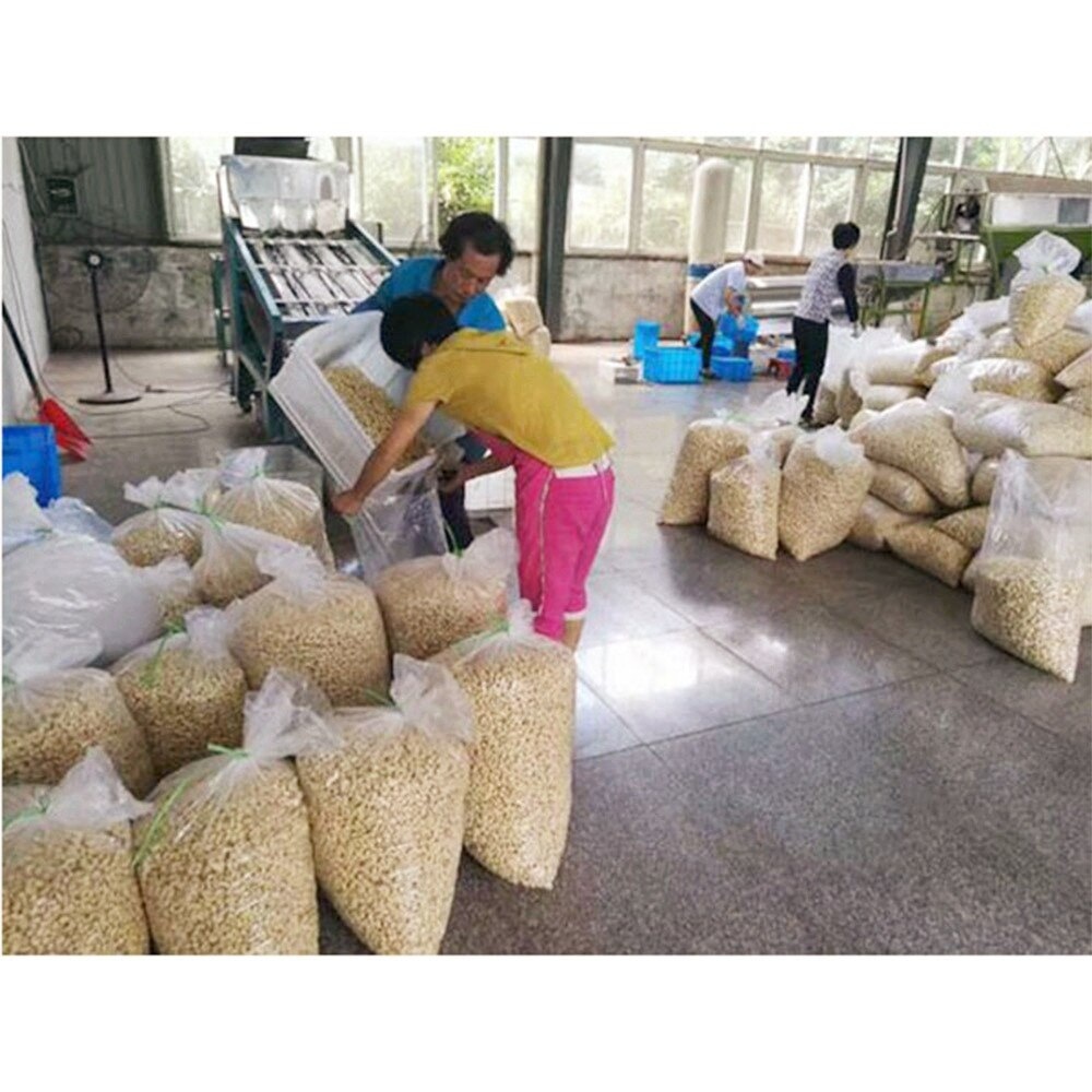 Cream White Grade Aa Cashew Nuts