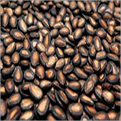 तरबूज के बीज