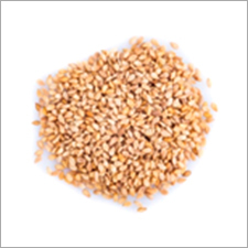 Sesame Seeds