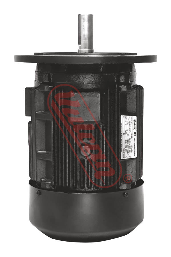 Yellow Flange Mount Induction Motor