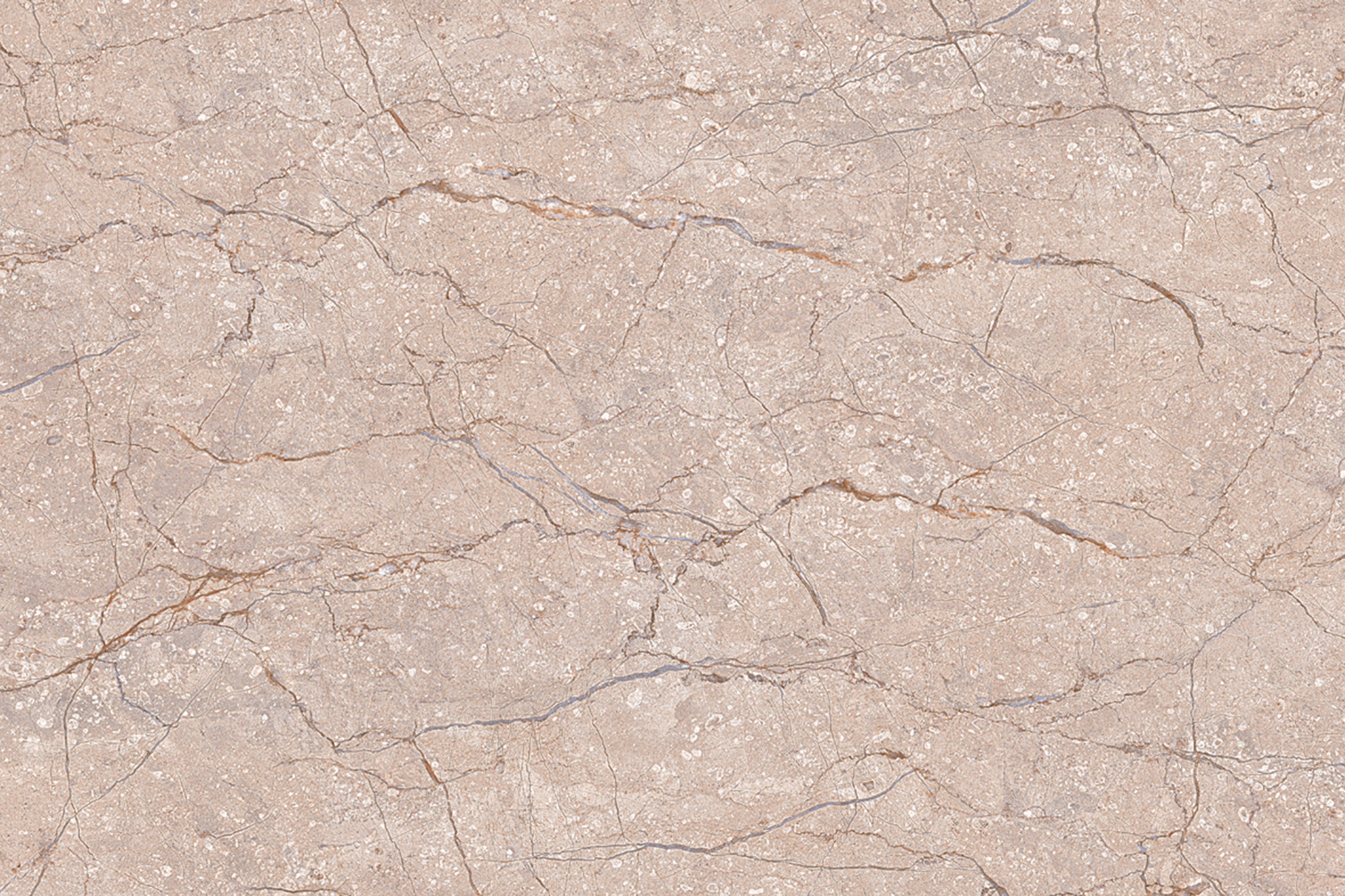 Browns / Tans 15197 Glossy Ceramic Wall Tiles 300x450mm