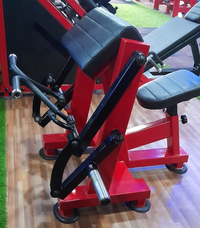 Preacher Curl Hammer Application: Endurance