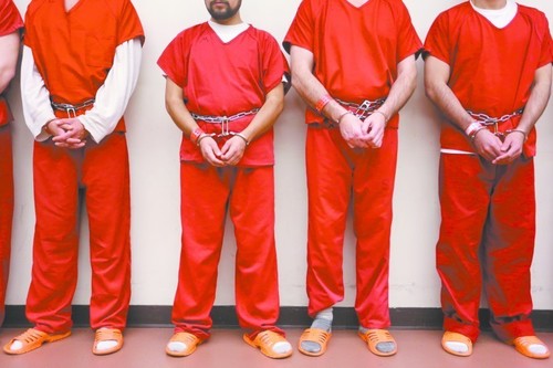 Polyester Prison Uniform Fabric - 100 Meter Length, Assorted Colors | Soft, Lightweight, Quick Dry, Stretchable, Machine Washable