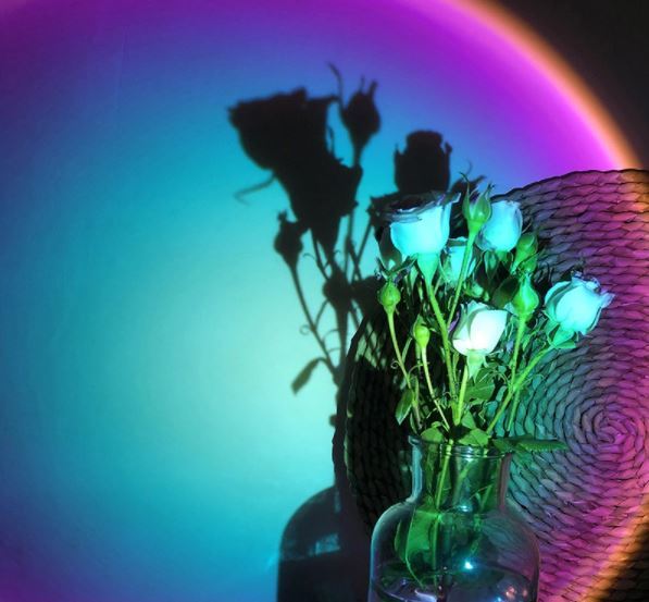 Plastic Rgb 16 Colors Remote Control Sleeping Night Light Projector Sunset Lamp With Remote