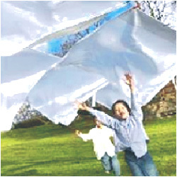 बेंटोनाइट आधारित ग्रैन्यूल