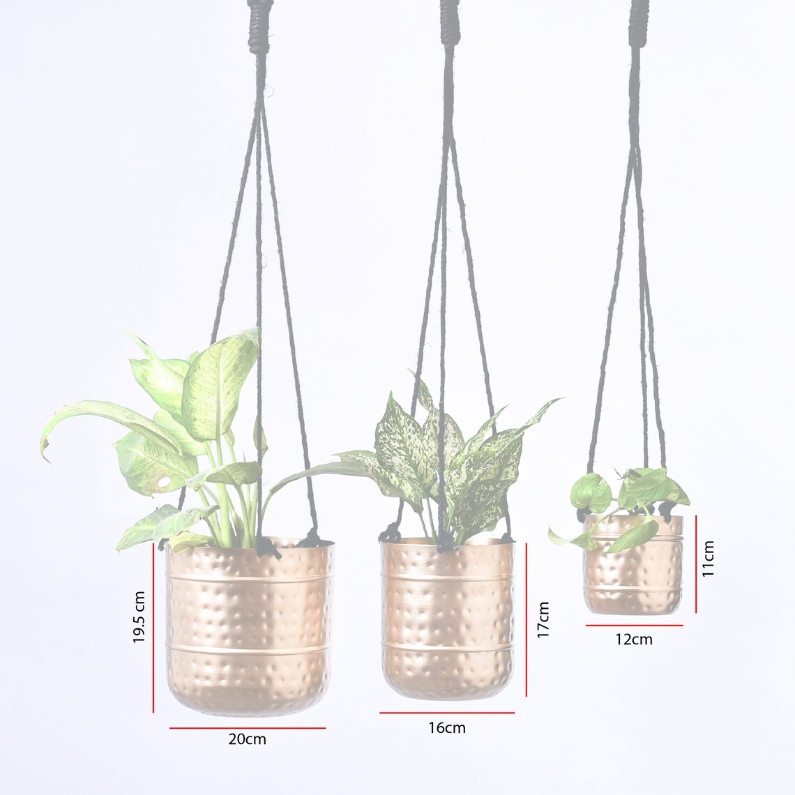 Brass Table Engraved Planter