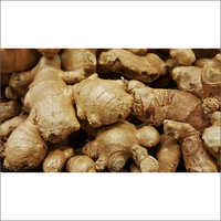 ताजा अदरक