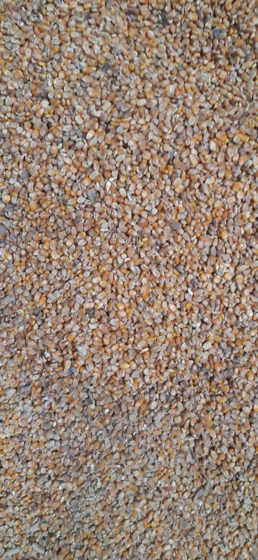 Maize For Multipuposes - Admixture (%): 3