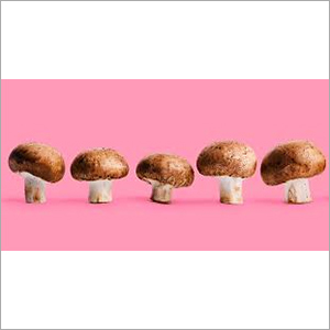 Fresh Mushroom - Organic Whole, Different Sizes Available | Brown Color, Nutritious Anti-cancer Superfood With Vitamin B And Low Fat