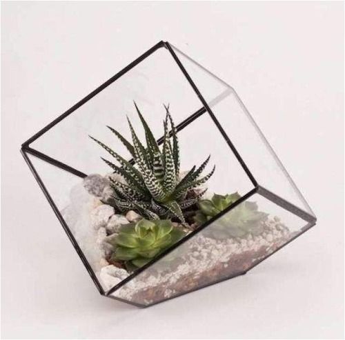 Geometric Terrarium Dimension(l*w*h): Dia-25 Centimeter (Cm)