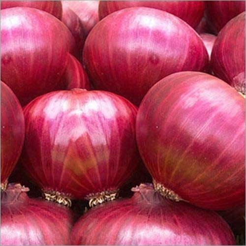Fresh Nashik Onion - Natural Red Color, 25 to 50 Kg Packaging | Good Purity, Natural Taste, Packaged in Jute and Plastic Mesh Bags