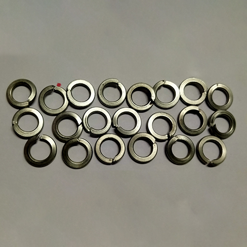 SS Spring Washer