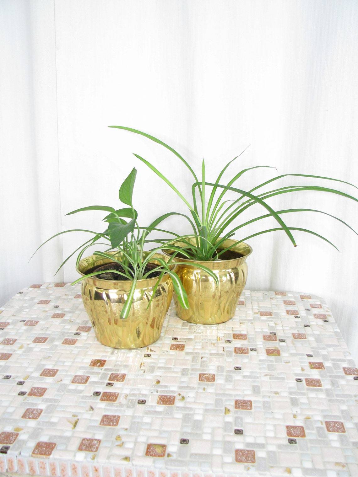 Vintage Swiss Solid Brass Bowl Shaped Planter With Handle