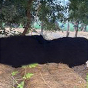 Organic Vermicompost Powder - 25 Kg Bag, 100% Water Soluble, Slow Release, Plant Based for Agriculture Applications