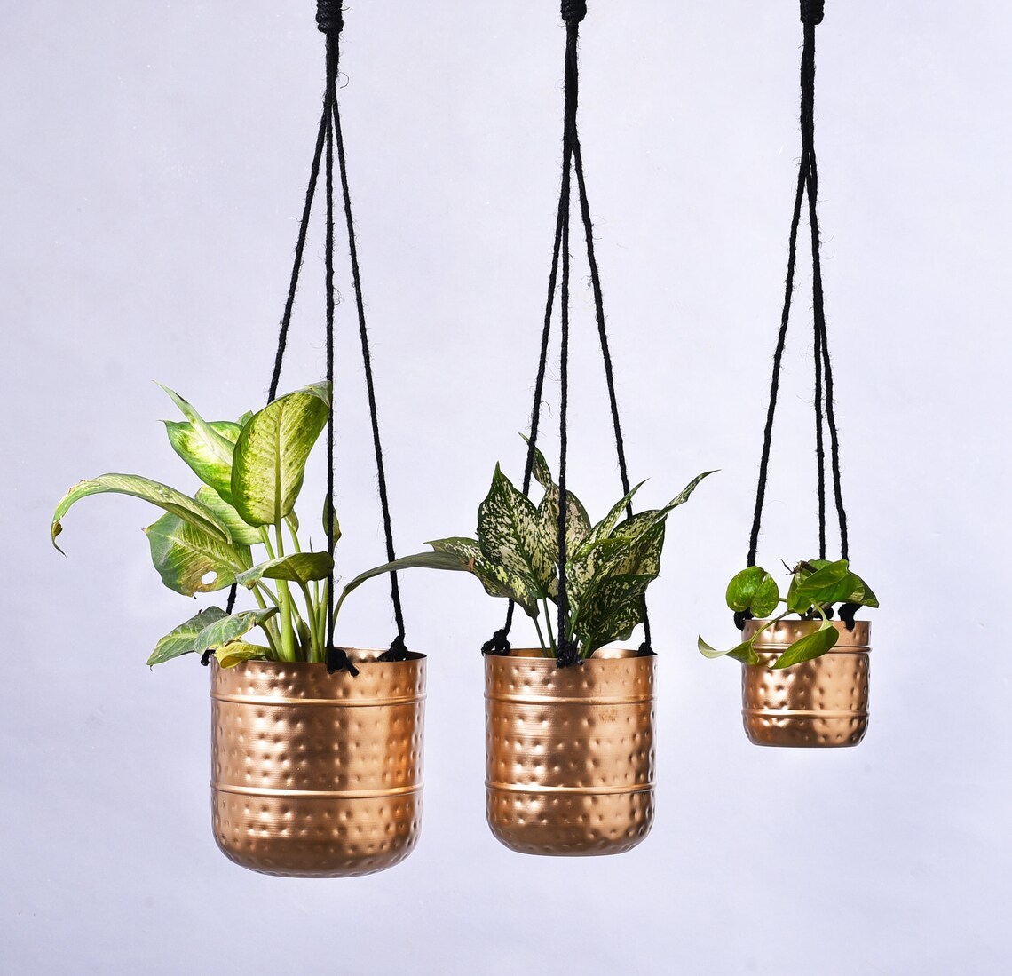 Brass Salix Large Planter