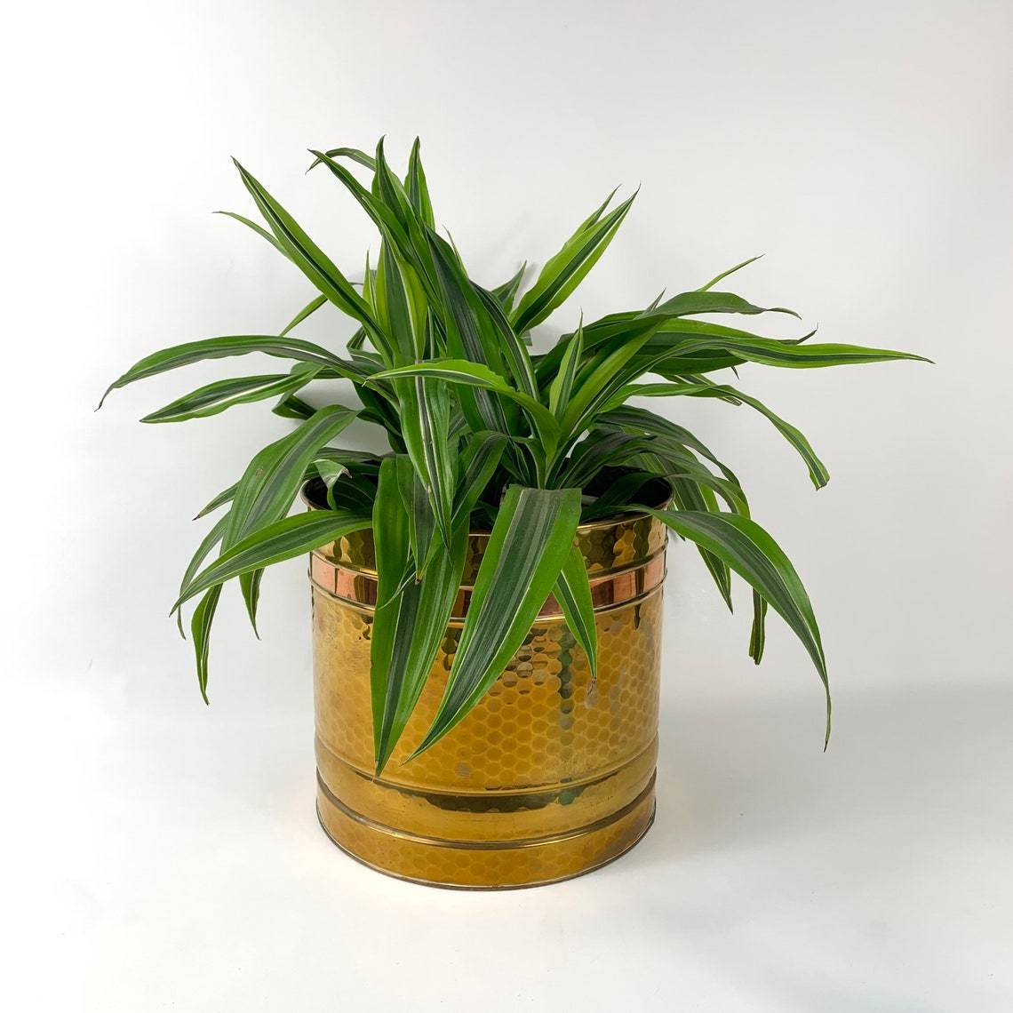 Metalware Brass Planter