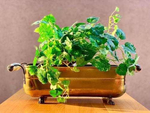 ब्रासव हैमरेड फूटेड बिग प्लांटर