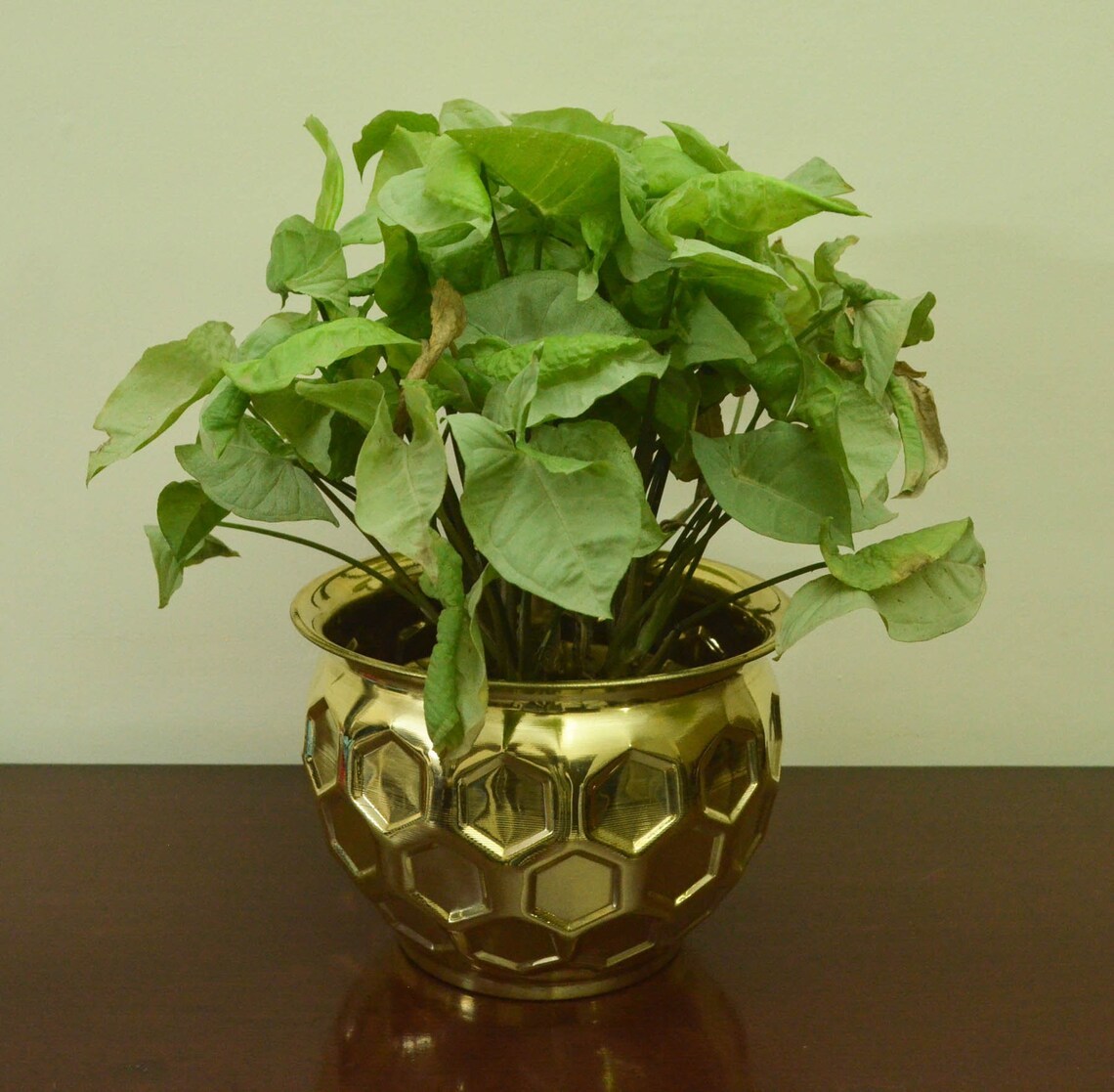 Diffrerentsize All Types Of Planter