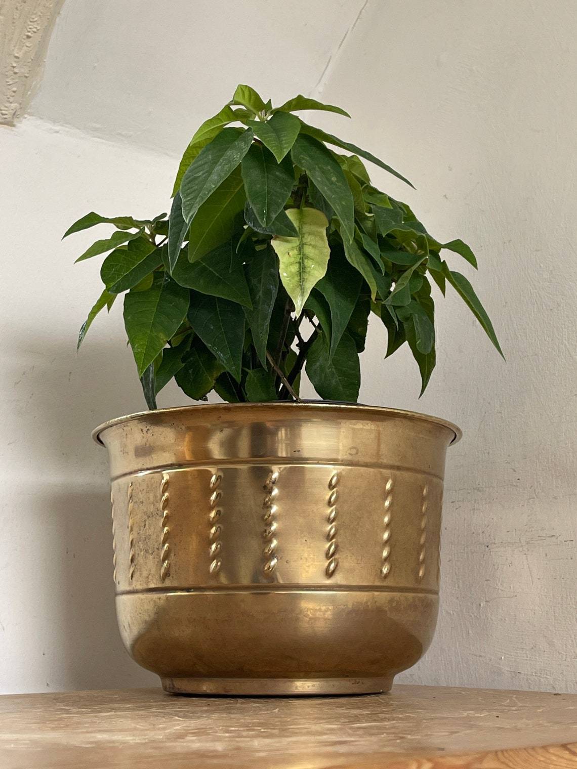 Brass Footed Florished Engraved Planter