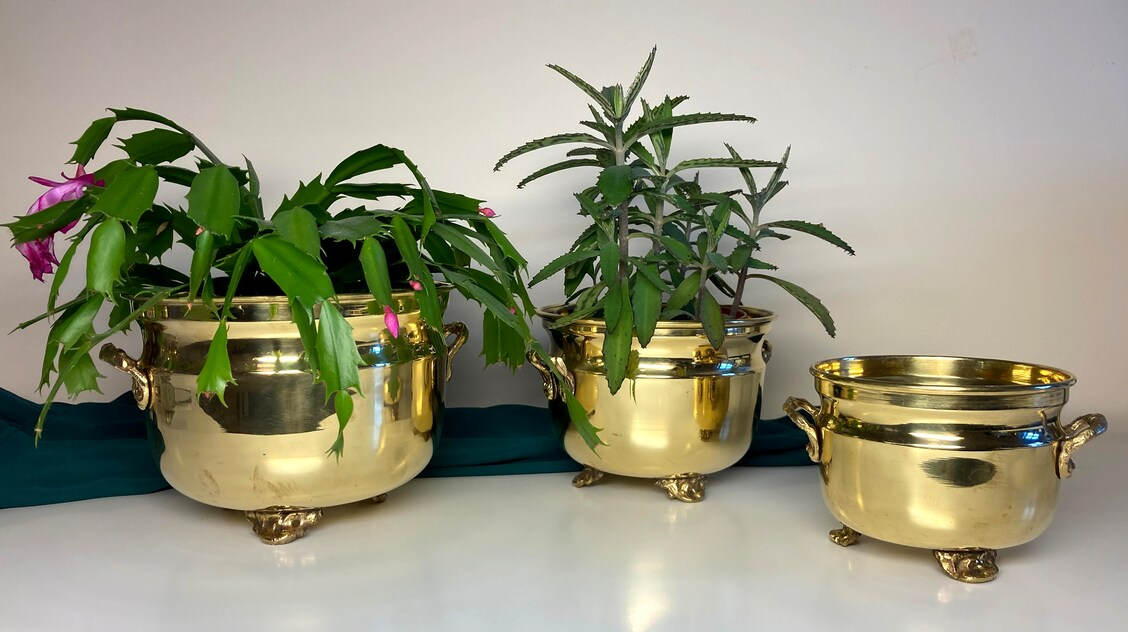 Brass Texture Square Shaped Withtwo Handle Planter