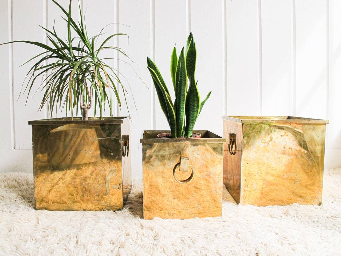 Brass Texture Square Shaped Withtwo Handle Planter