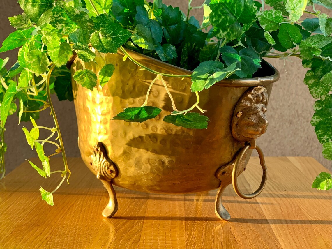Brass Small Lion Faced Engraved Handle Planter