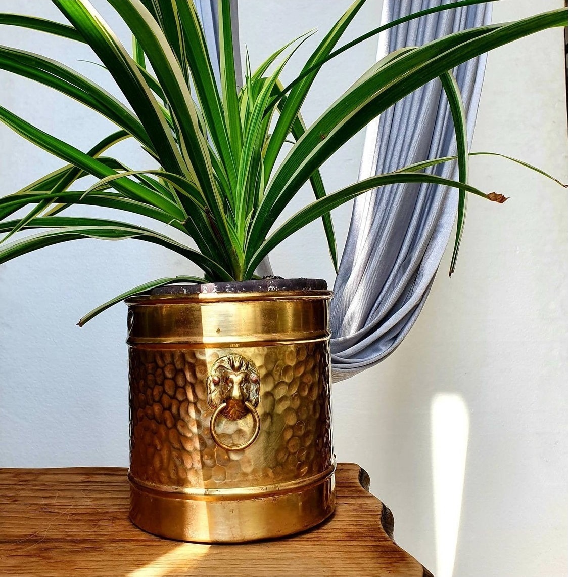 Brass Table Top Line Engraved Planter