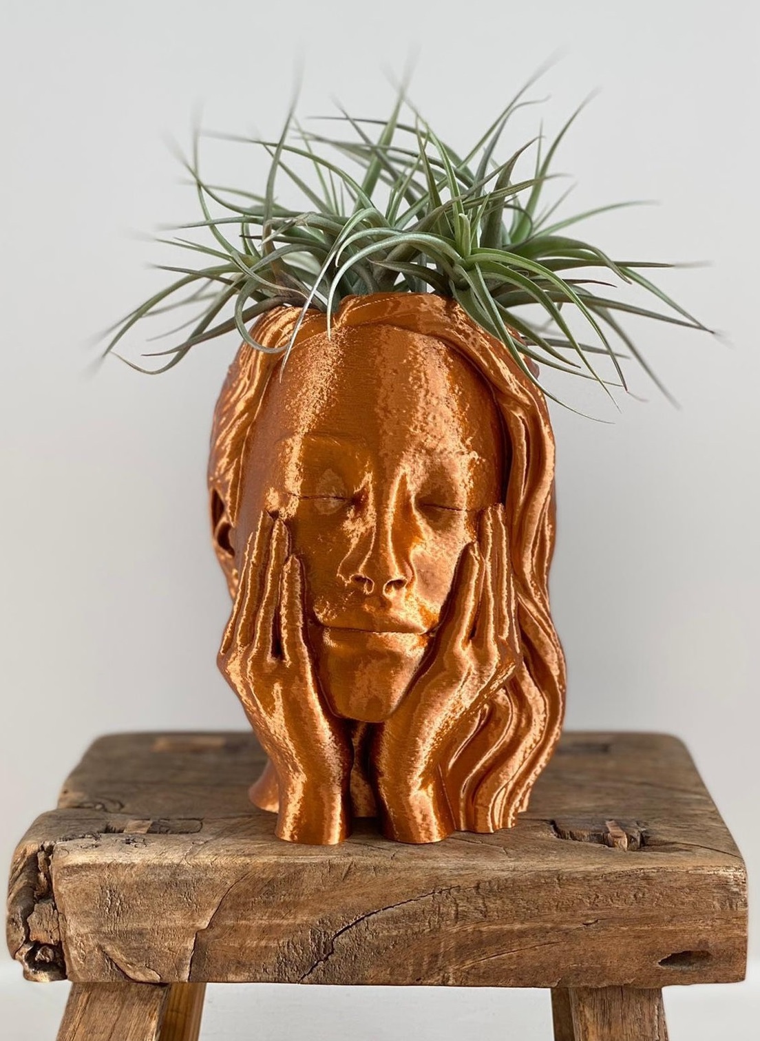 Brass Lion Faced With Two Big Handle Planter