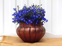 Pair Of Copper Small Planter