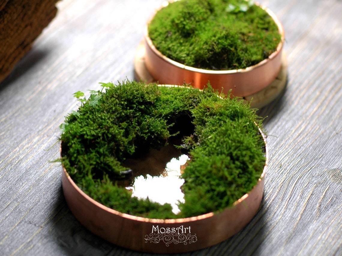 Pair Of Copper Small Planter